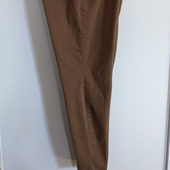 Style & Co Curvy Skinny Leg Pants Brown - Picture 7 of 7